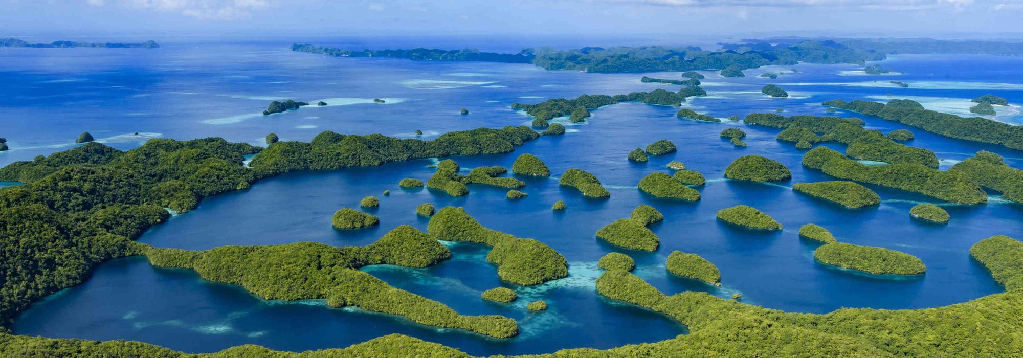 Dive into one of the world’s last frontiers to learn about marine conservation, snorkel across kaleidoscopic coral reefs and more