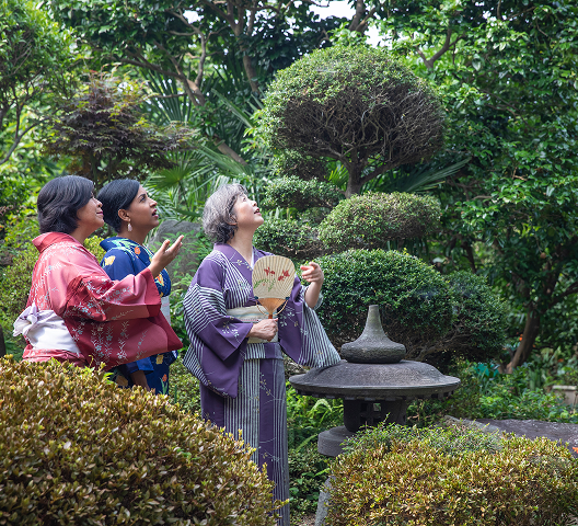 The difference is the expert