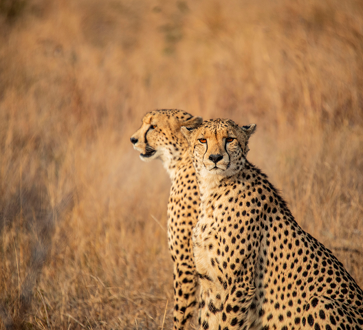 Care that travels with you