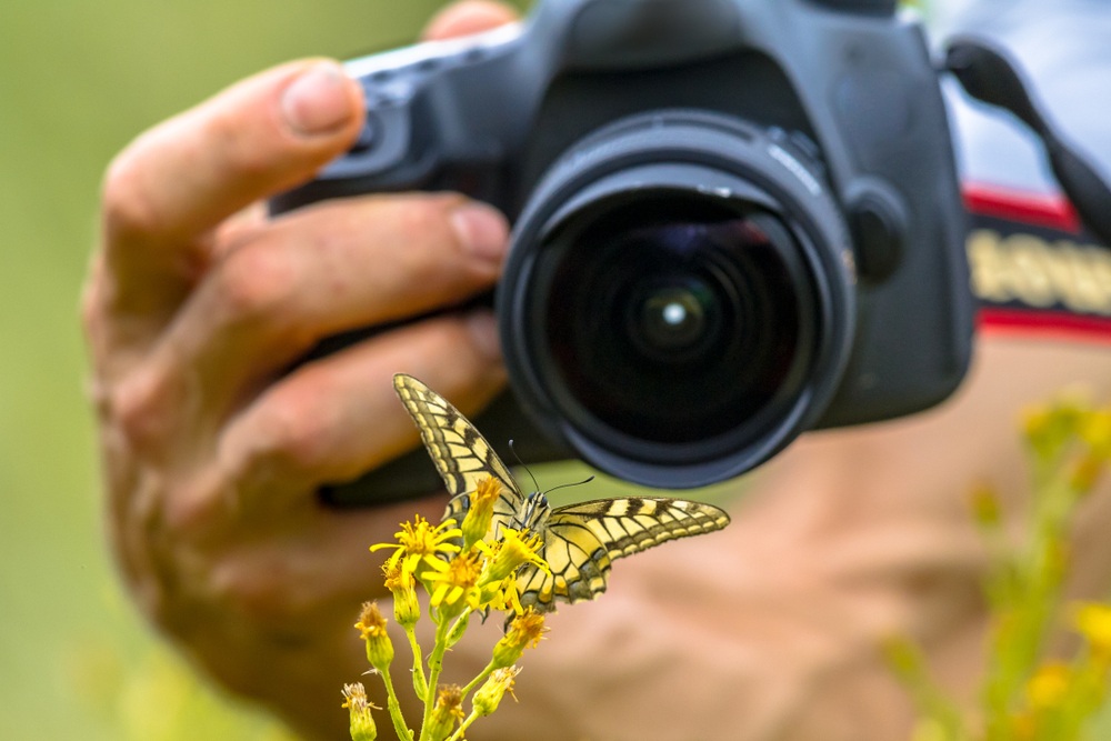 Best Camera for Wildlife Photography